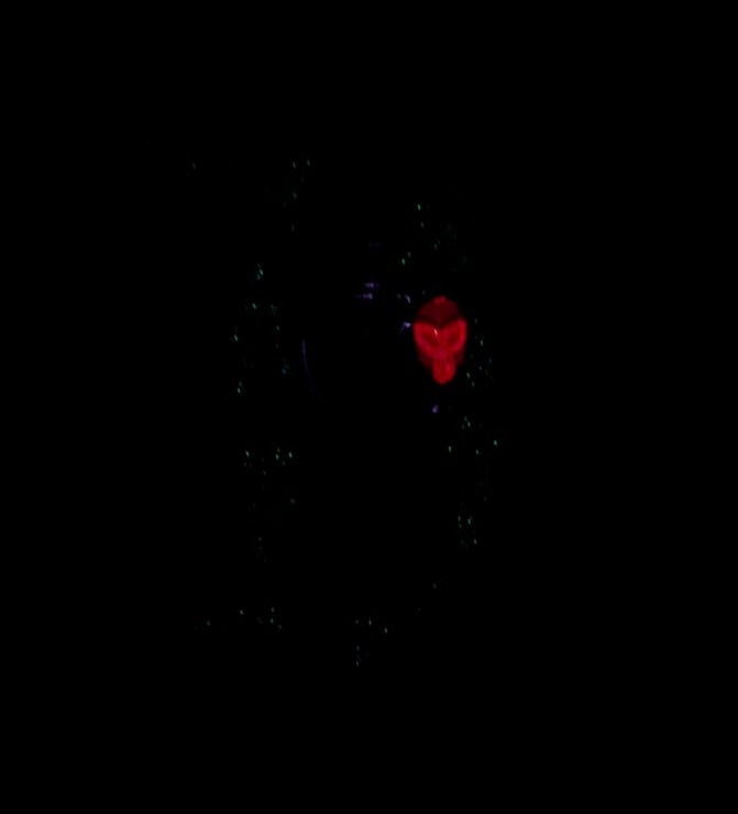 Shadow Man - Playful Poses